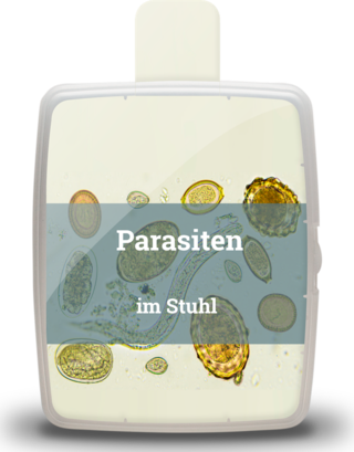 01_parasiten_im_stuhl