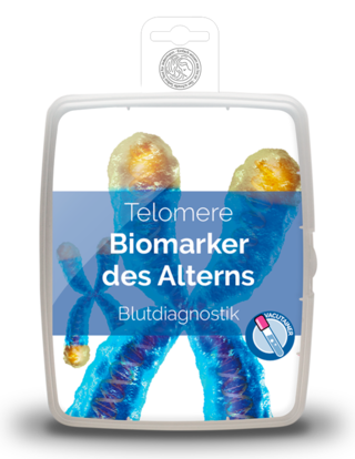 telomere.png