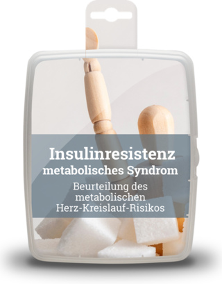 metabolisches_syndrom