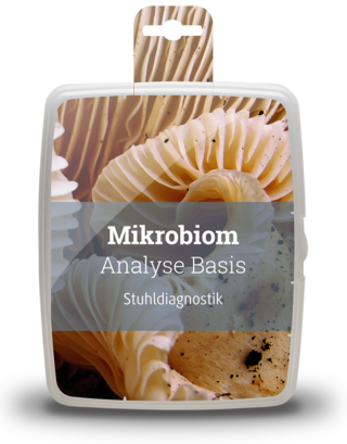 03_mikrobiom_basis