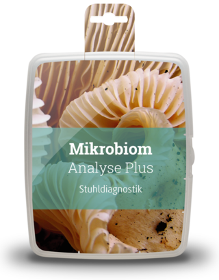 02_mikrobiom_plus