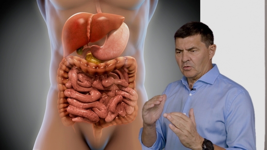 Reizdarm und Dünndarm-Fehlbesiedlung: Eine Einführung!